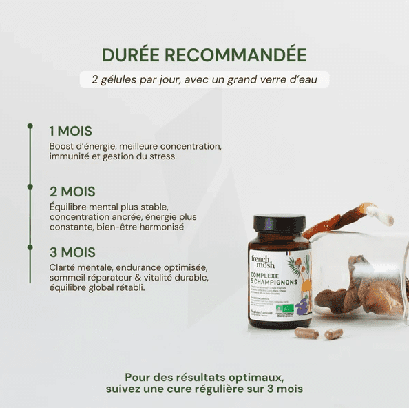 Gélules Complexe 5 Champignons — Énergie, Immunité & Clarté Mentale – Image 3