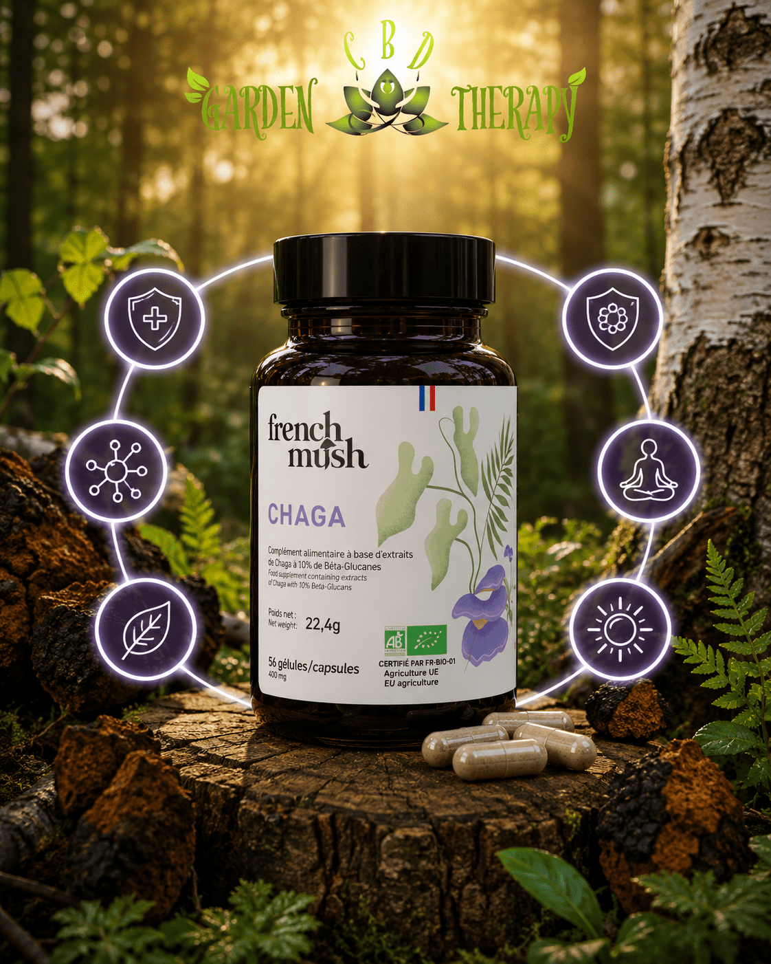 Gélules Chaga — Antioxydant Puissant, Immunité & Énergie Naturelle