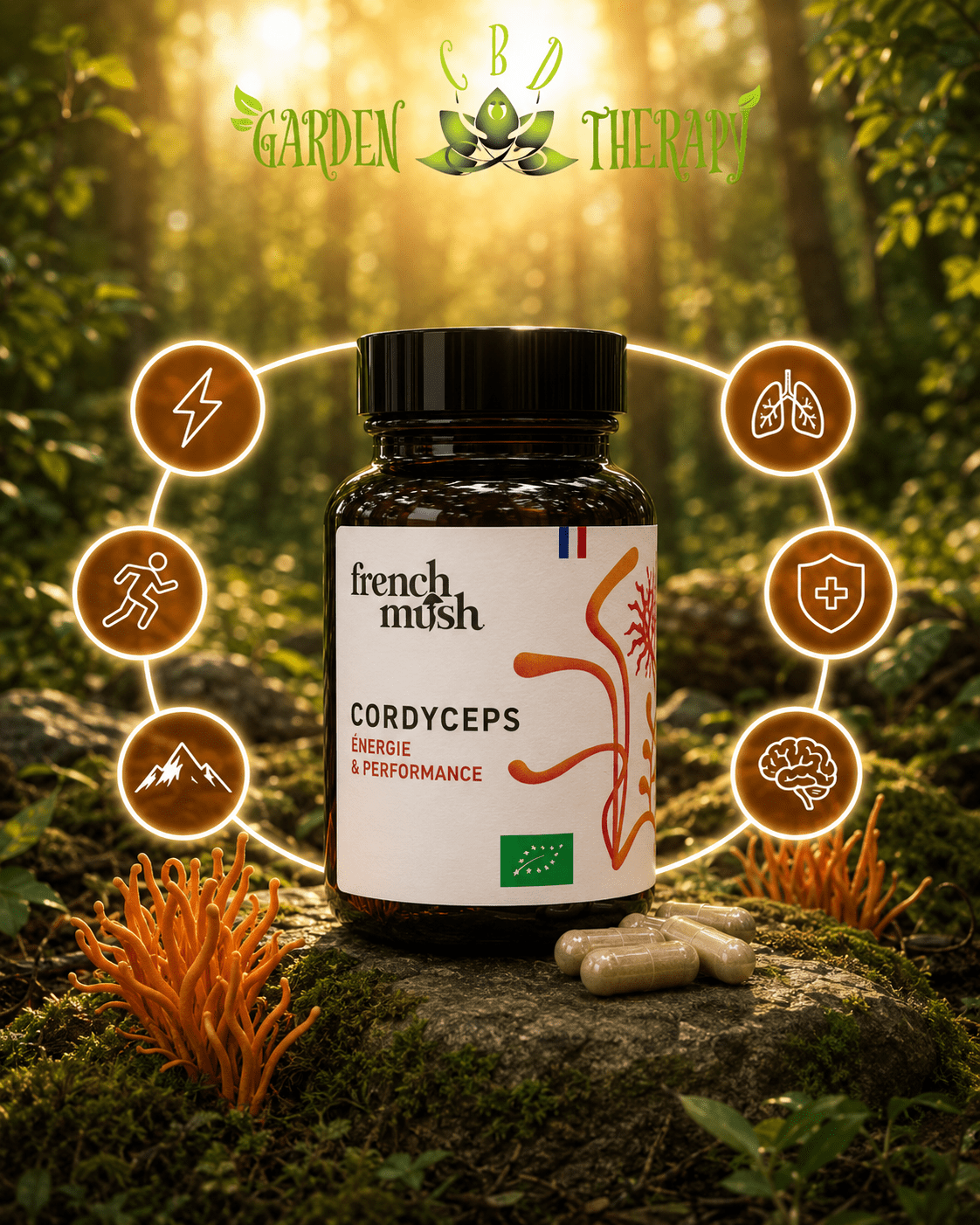 Gélules Cordyceps — Énergie, Endurance & Récupération Sportive