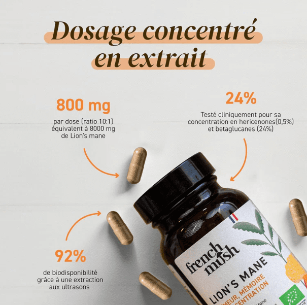 Gélules Lion's Mane — Cognition, Clarté Mentale & Système Nerveux – Image 2
