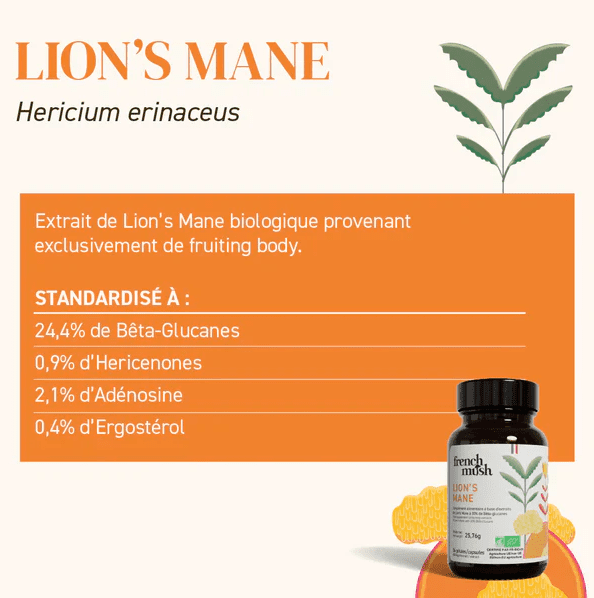 Gélules Lion's Mane — Cognition, Clarté Mentale & Système Nerveux – Image 3