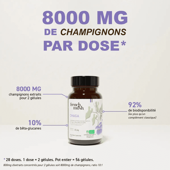 Gélules Chaga — Antioxydant Puissant, Immunité & Énergie Naturelle – Image 2
