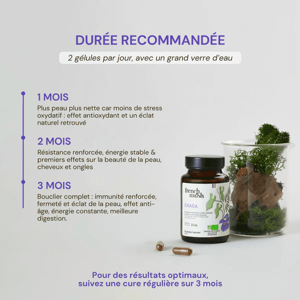 Gélules Chaga — Antioxydant Puissant, Immunité & Énergie Naturelle – Image 3