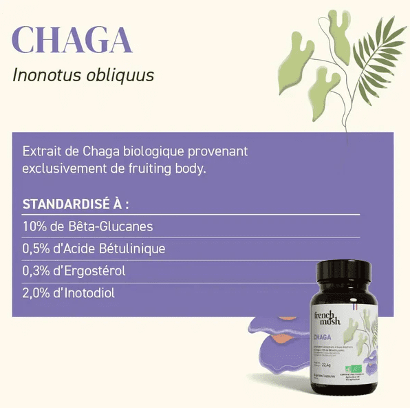 Gélules Chaga — Antioxydant Puissant, Immunité & Énergie Naturelle – Image 4