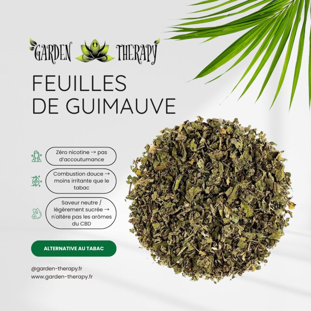 feuilles de guimauve comme alternative au tabac