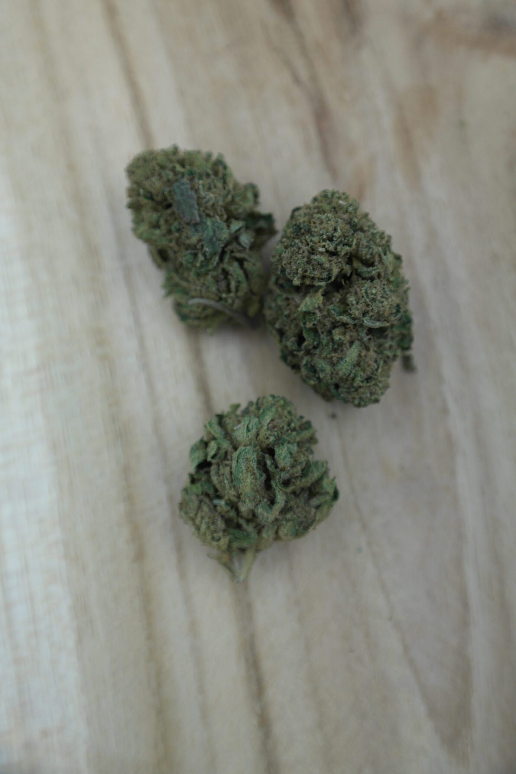 White Runtz 🟡 – Image 3