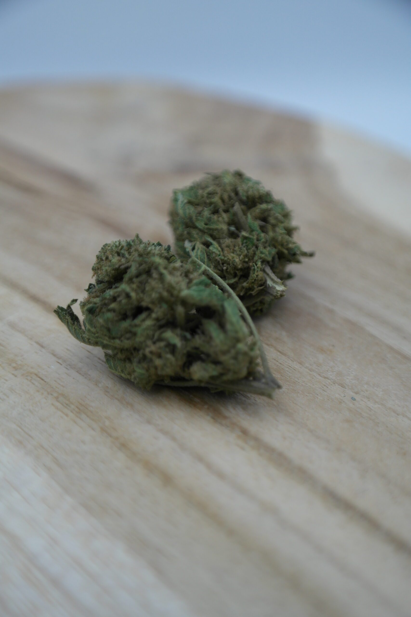 White Runtz 🟡 – Image 2