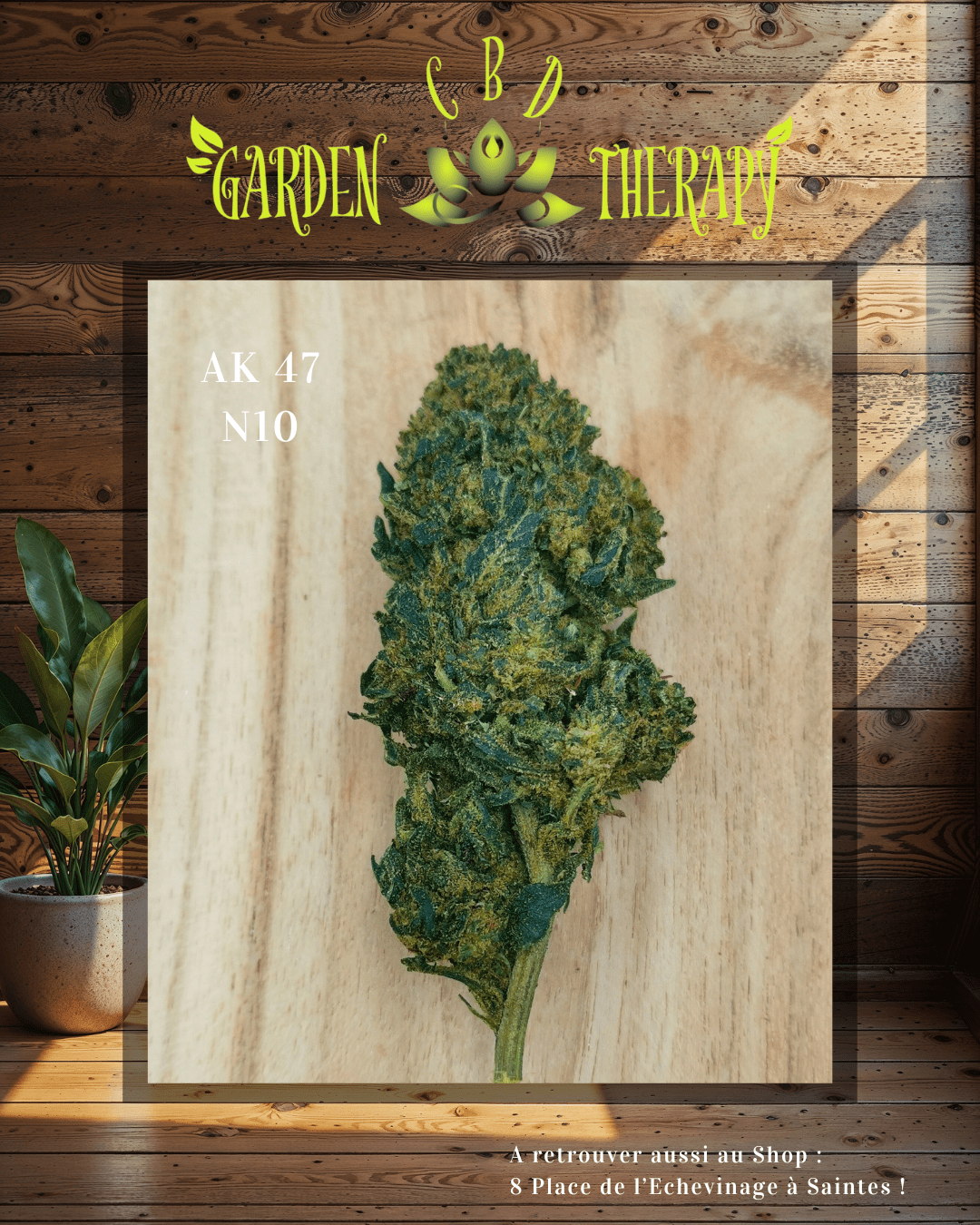 Xtrem AK47 N10 20% đź”´