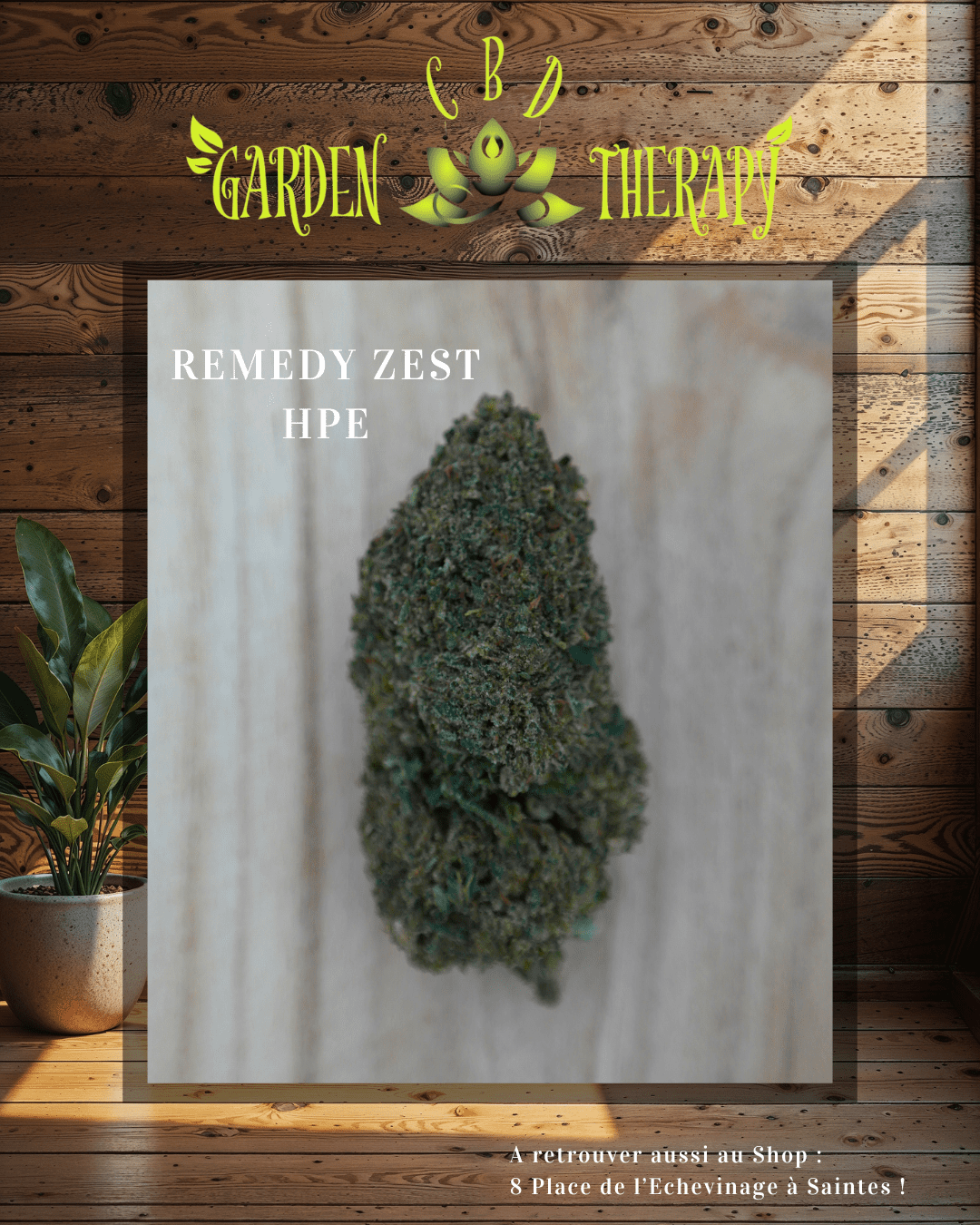 Remedy Zest HPE đź”´