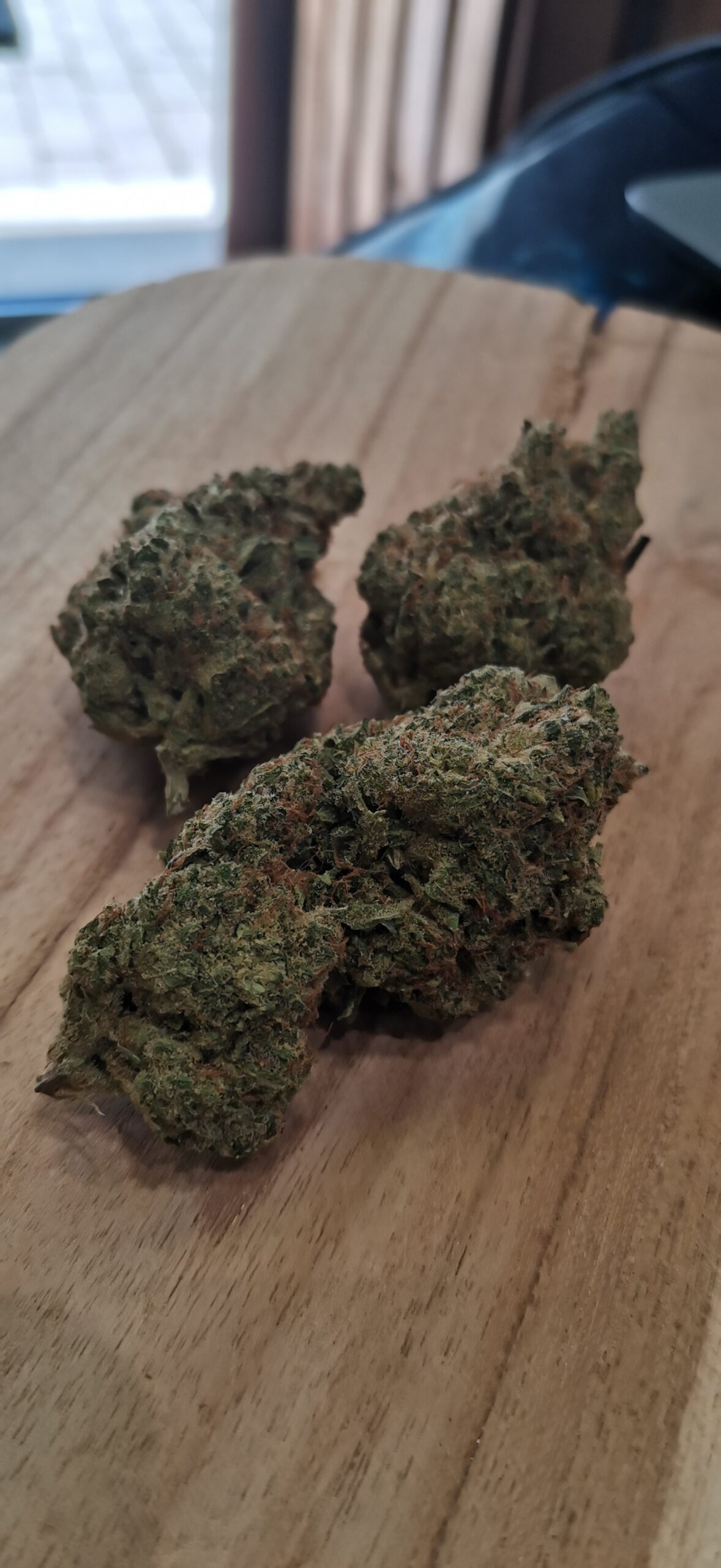 Nothern Light đą â Image 2