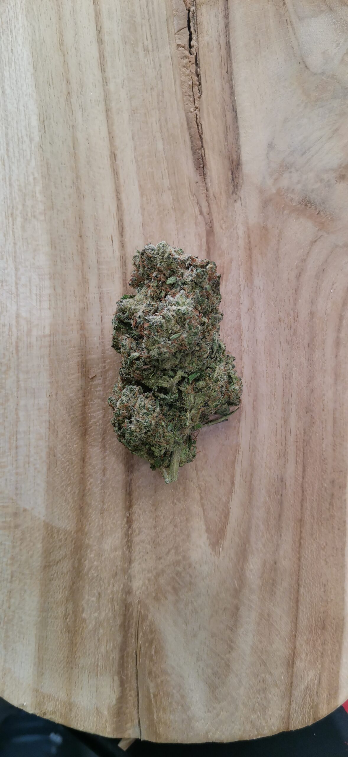 Nothern Light đą â Image 3