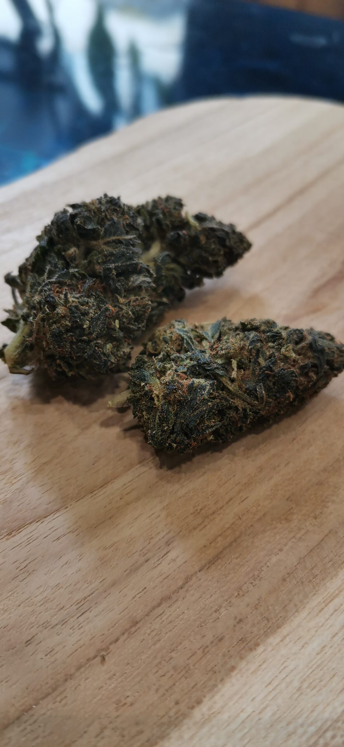 Tropical Ghost HPE 🔴 – Image 3