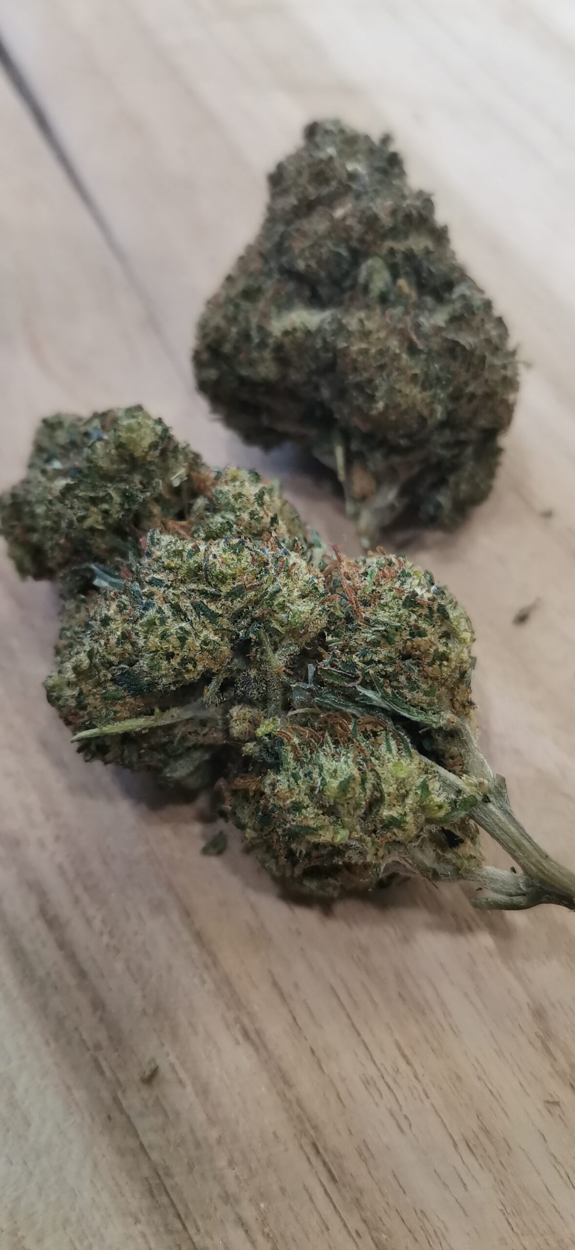 Banana Haze N10 20% 🔴 – Image 2