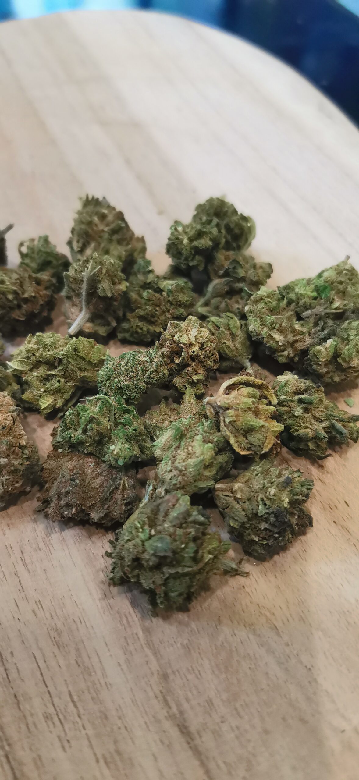 Gelato Small Buds 🔵 – Image 2