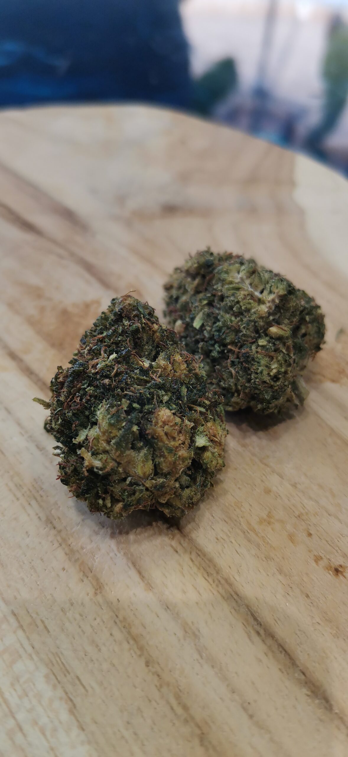 Golden Haze HPE 🔴 – Image 3