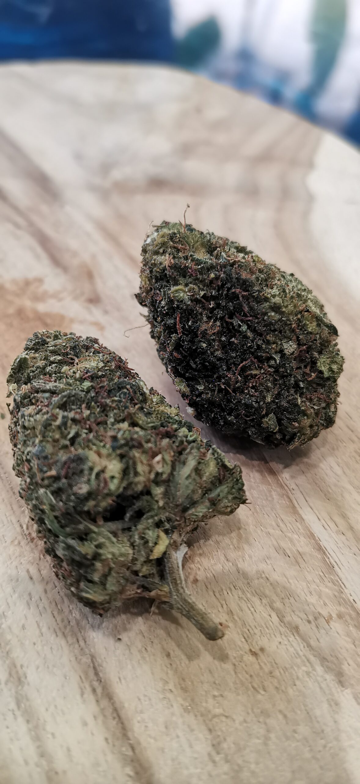 Golden Haze HPE 🔴 – Image 2