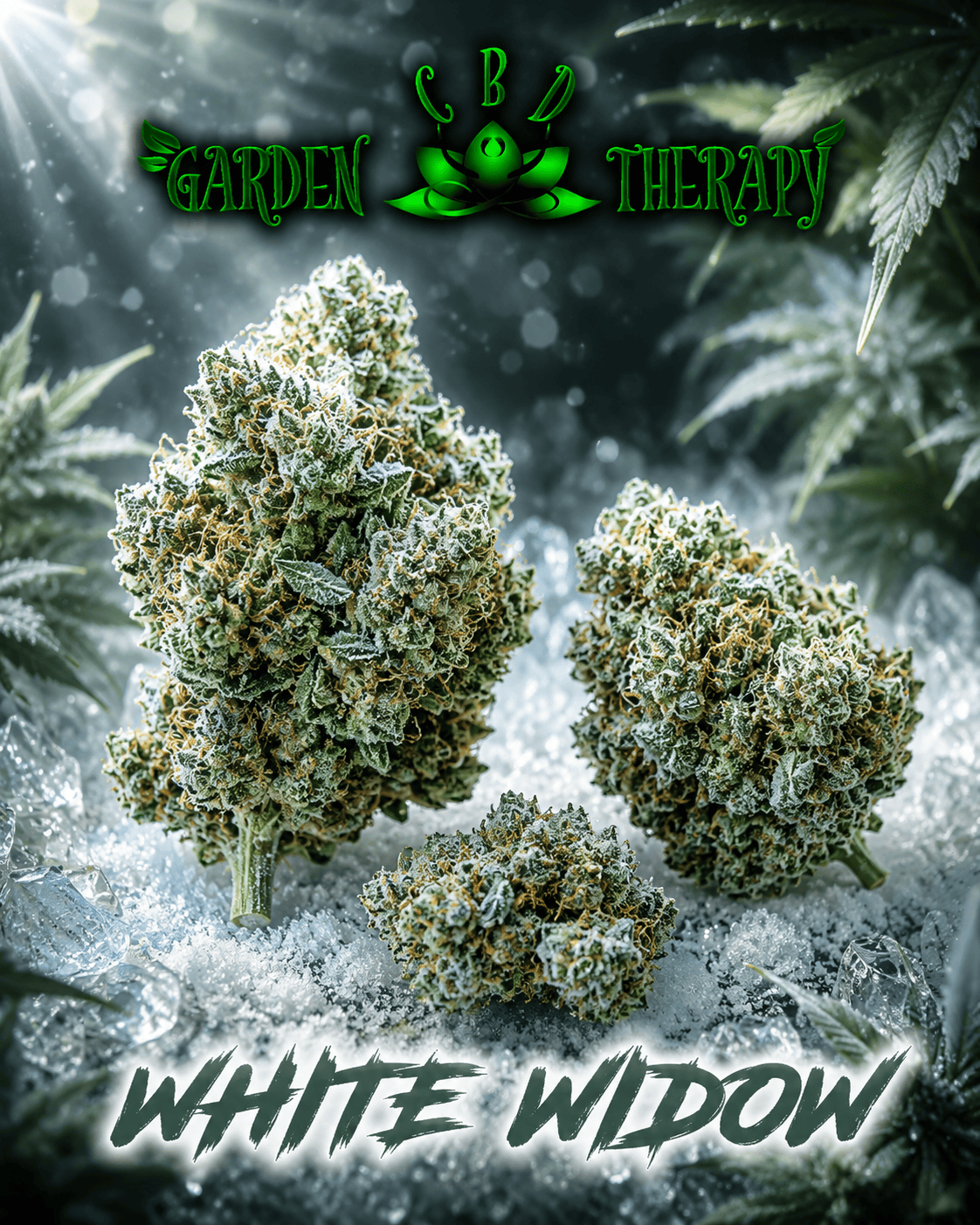 White Widow 🟢