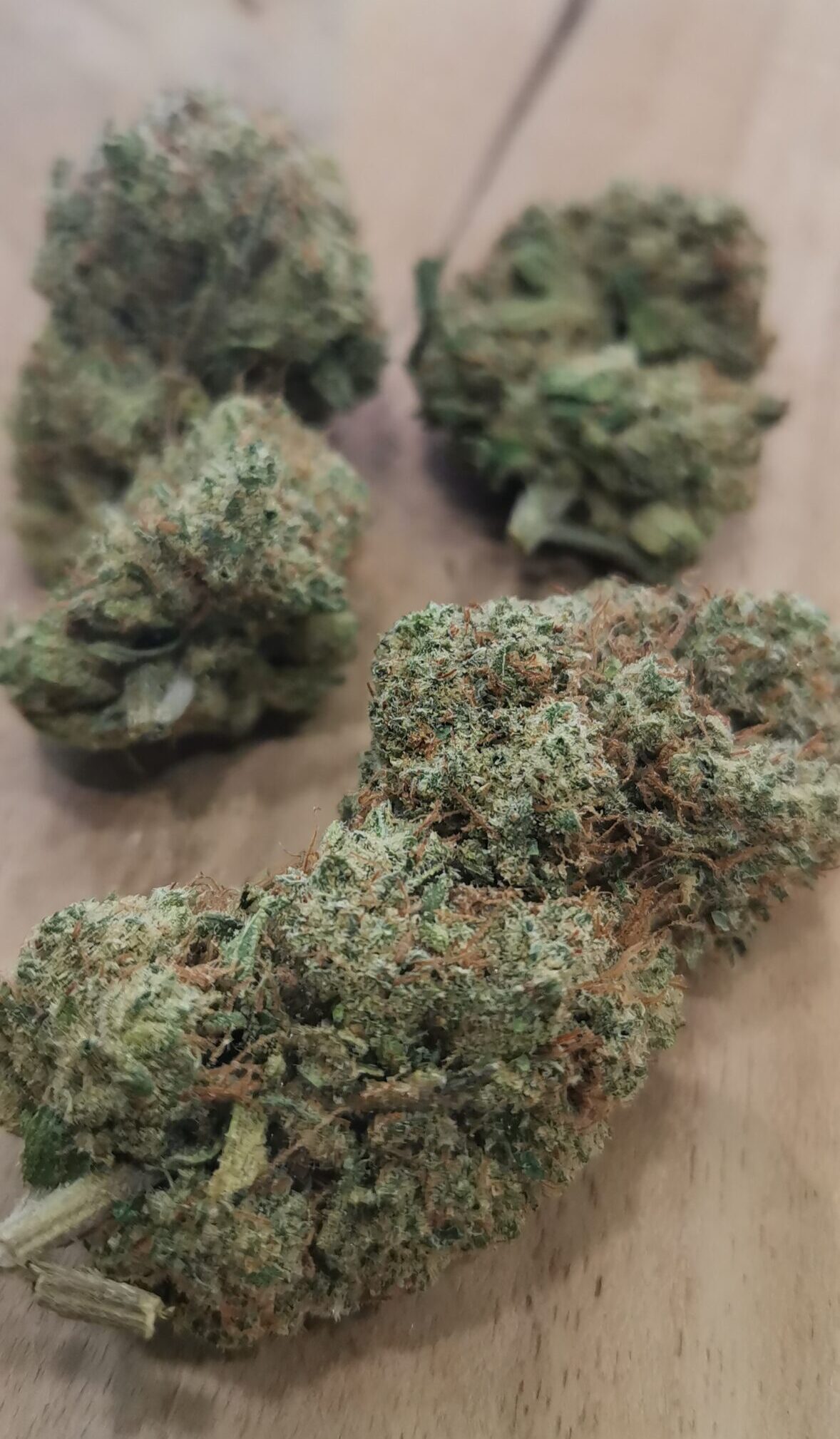 Blue Dream — Pureté & Arômes Myrtille 🟢 – Image 2