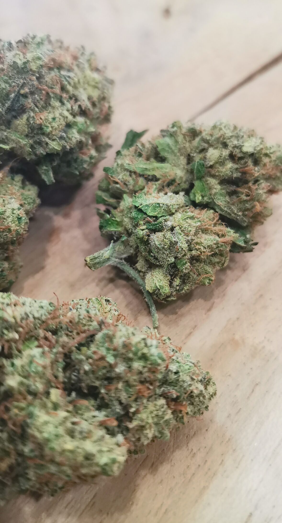 Blue Dream — Pureté & Arômes Myrtille 🟢 – Image 3