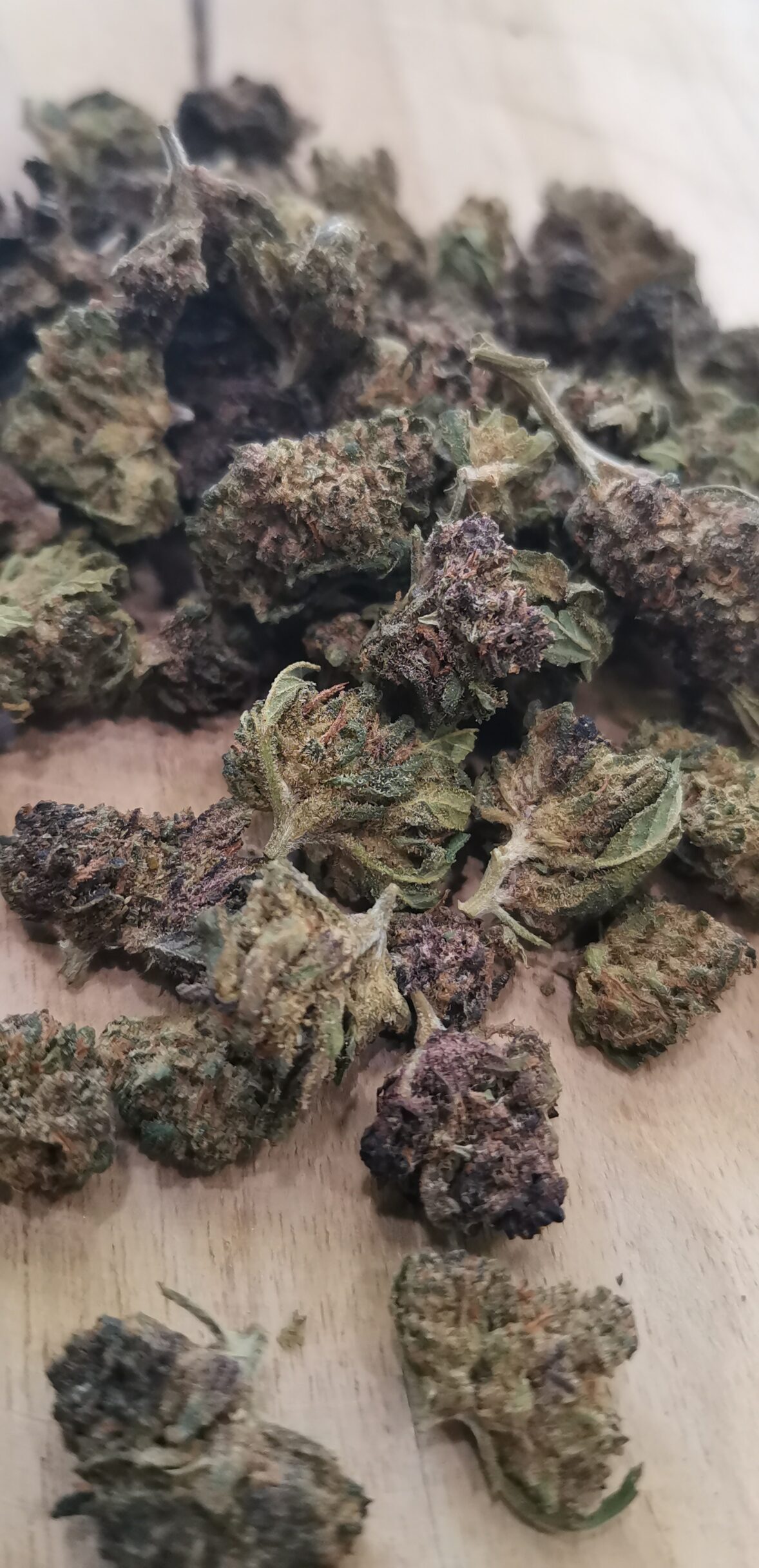 Small Buds Pepe Skunk — Kush & Fuel intense 🔵 – Image 2